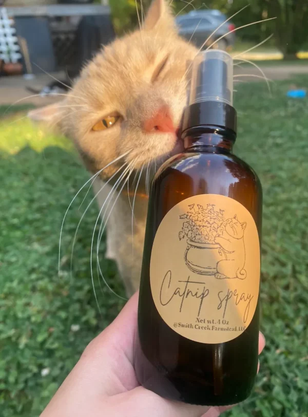 Catnip Spray