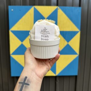 Solid Dish Soap Bar Set